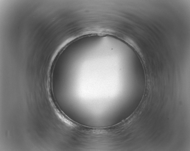 X0000079341136200612011927