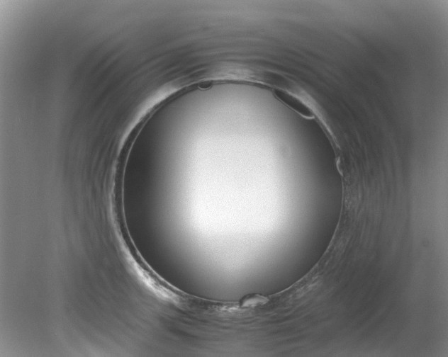 X0000079341139200612011927