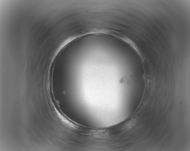 X0000079341143200612011927