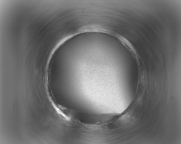 X0000079341144200612011927