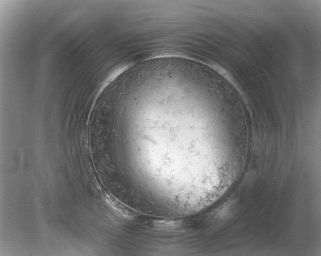 X0000079341145200612011927