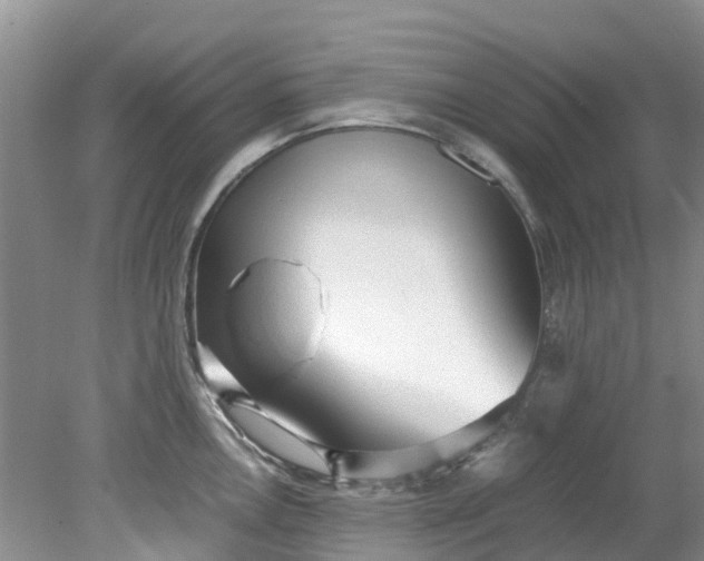 X0000079341146200612011927