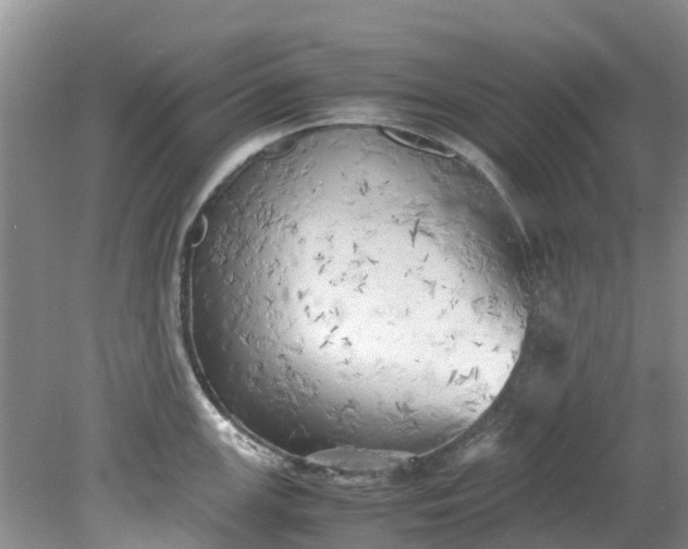 X0000079341147200612011927