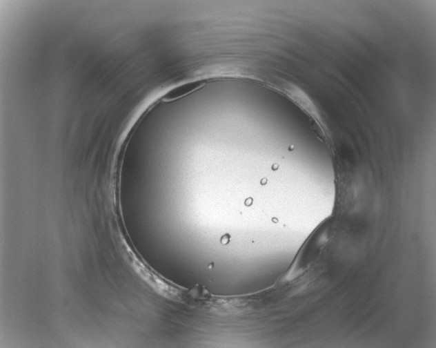 X0000079341148200612011927