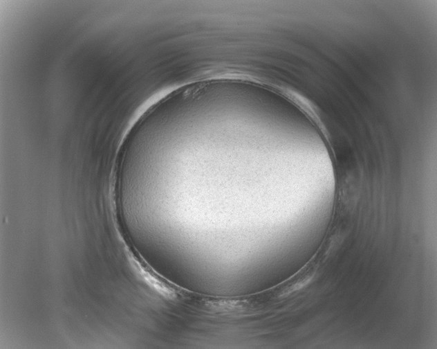 X0000079341149200612011927