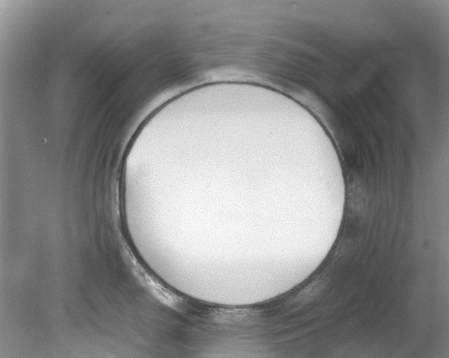 X0000079341150200612011927