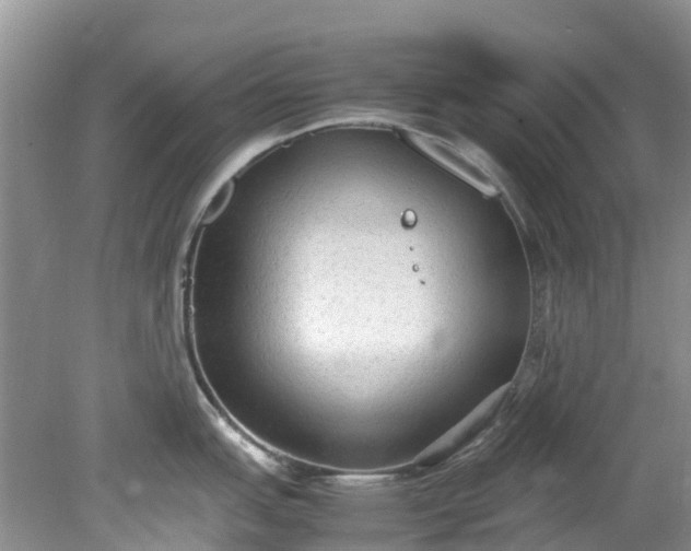 X0000079341151200612011927