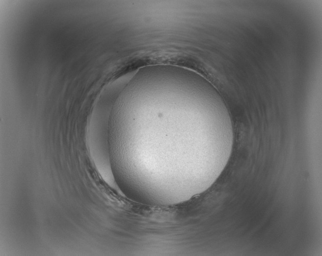 X0000079341153200612011926