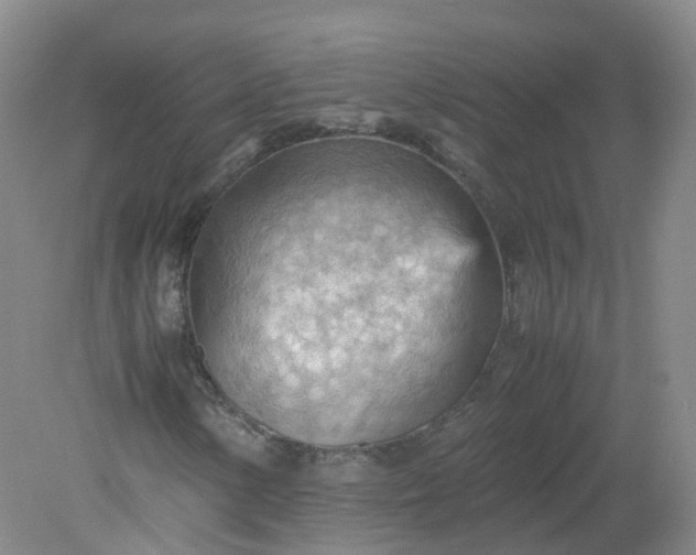 X0000079341154200612011926