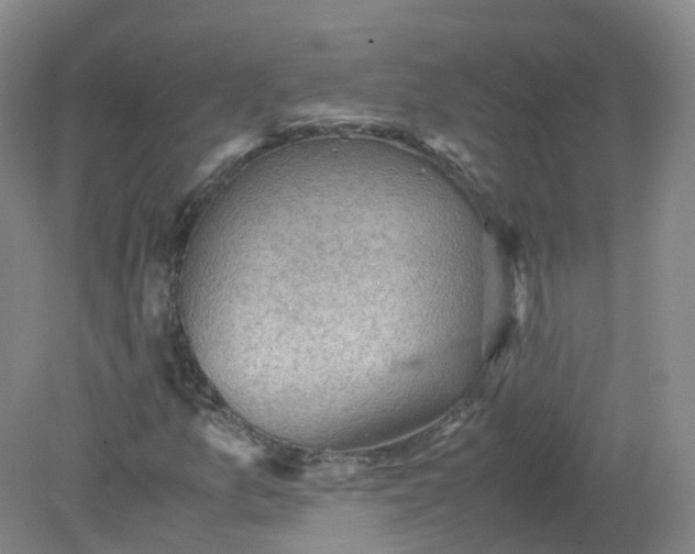 X0000079341157200612011926