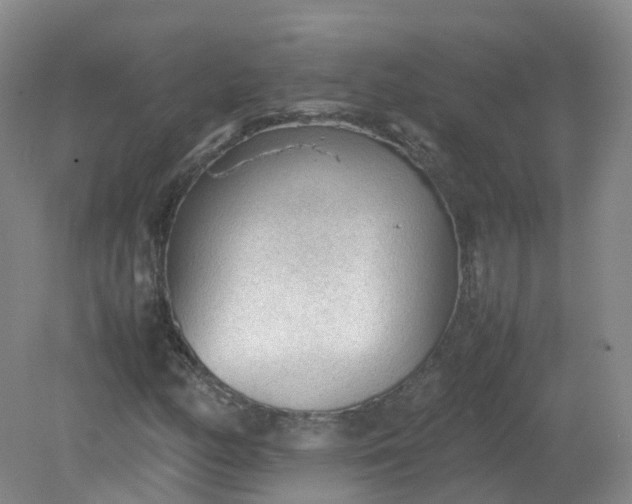 X0000079341158200612011926