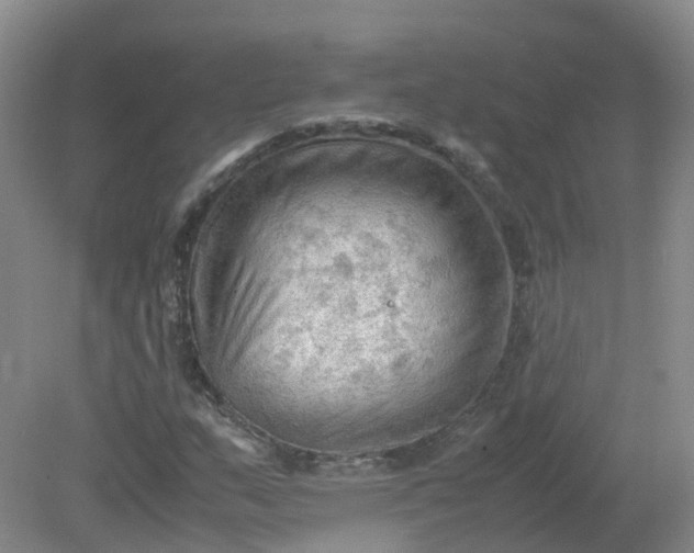 X0000079341159200612011926