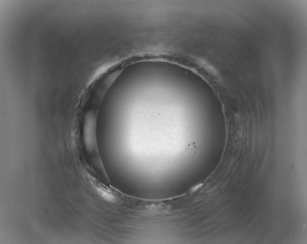 X0000079341160200612011926