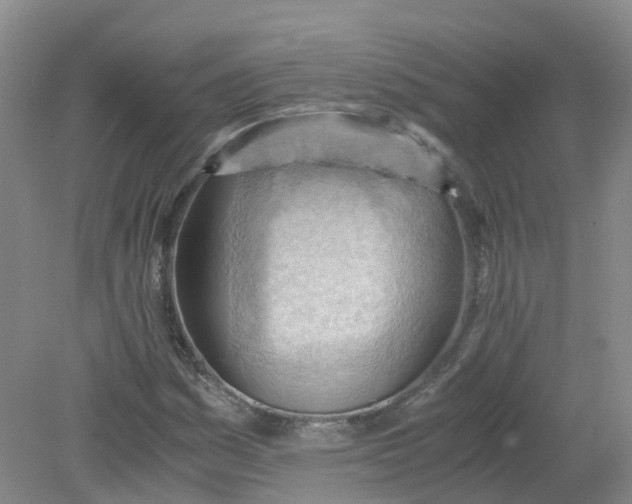 X0000079341161200612011926