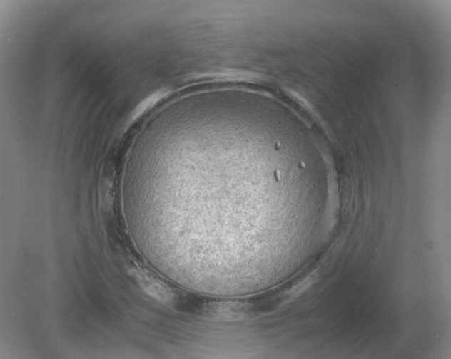 X0000079341163200612011926