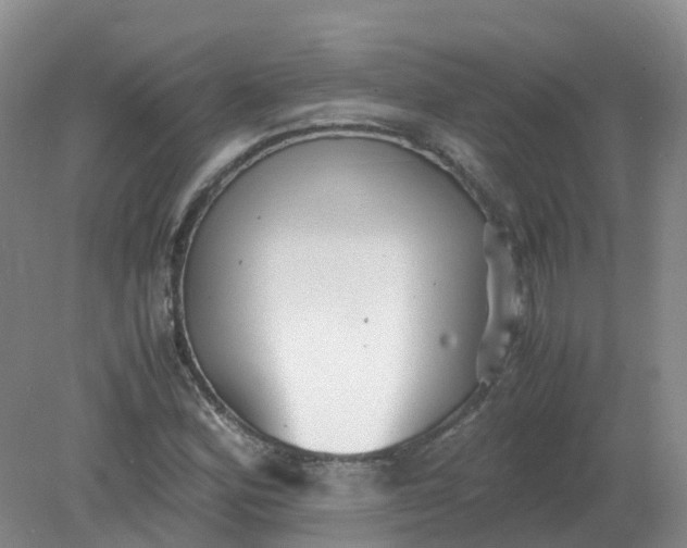 X0000079341164200612011926