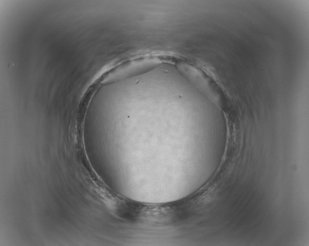 X0000079341165200612011926