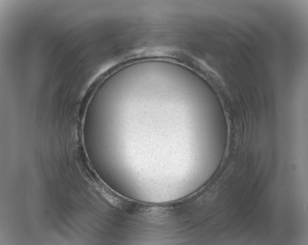 X0000079341166200612011926