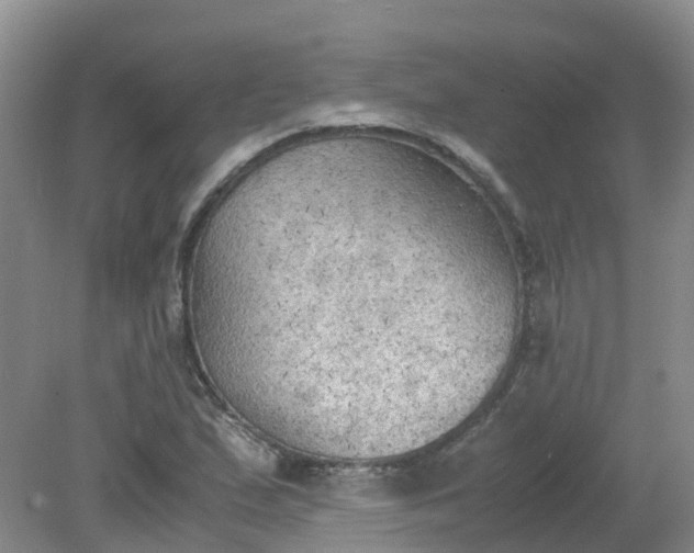 X0000079341167200612011926