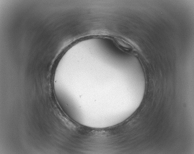 X0000079341168200612011926