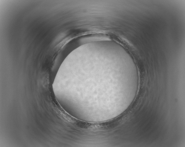 X0000079341169200612011926