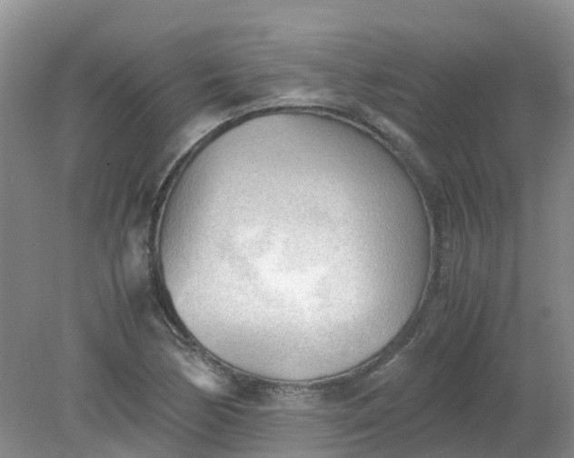 X0000079341170200612011926