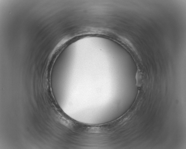 X0000079341172200612011926