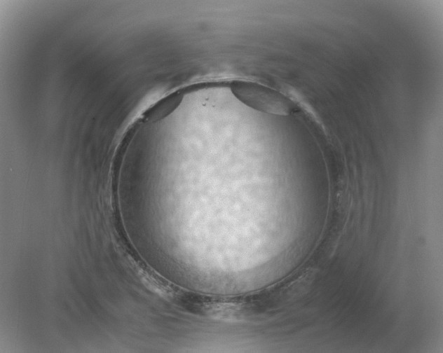 X0000079341173200612011926