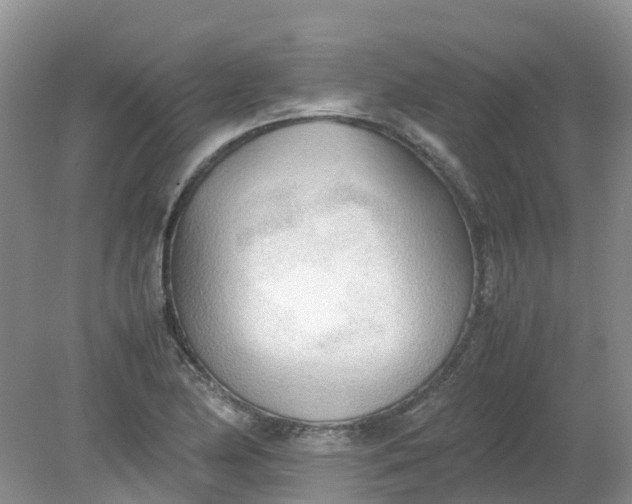 X0000079341174200612011926