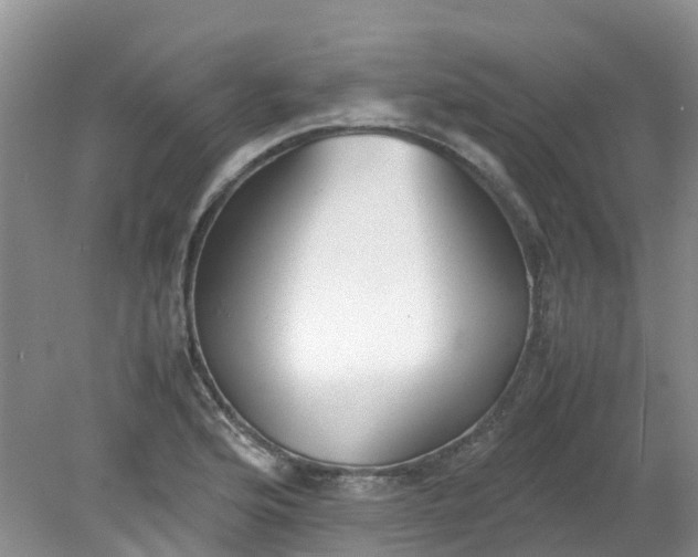 X0000079341176200612011926