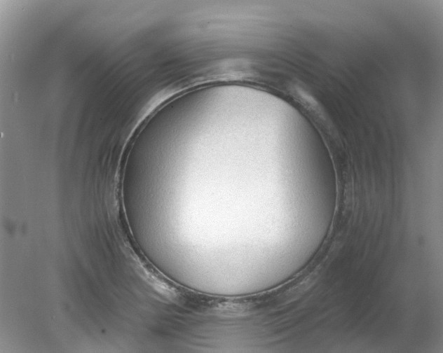 X0000079341178200612011926