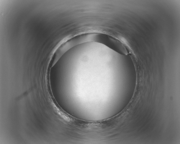 X0000079341181200612011926