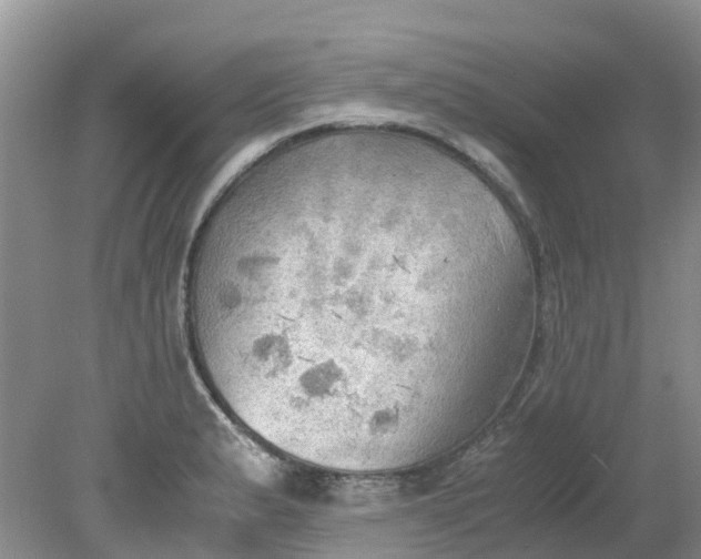 X0000079341183200612011926