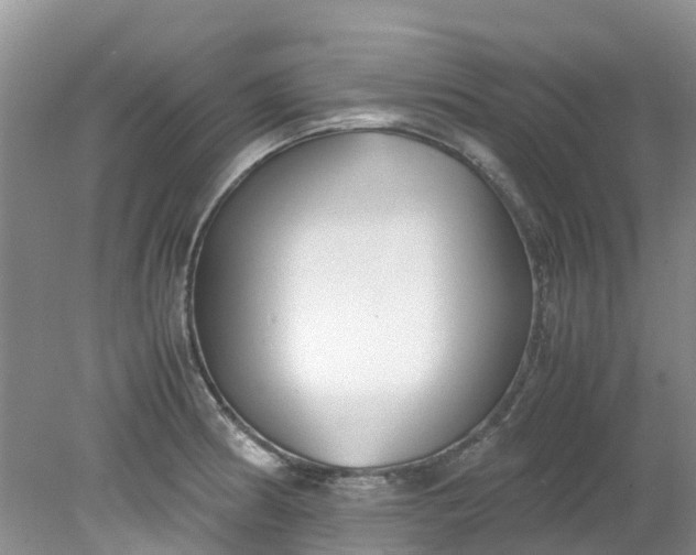 X0000079341186200612011926