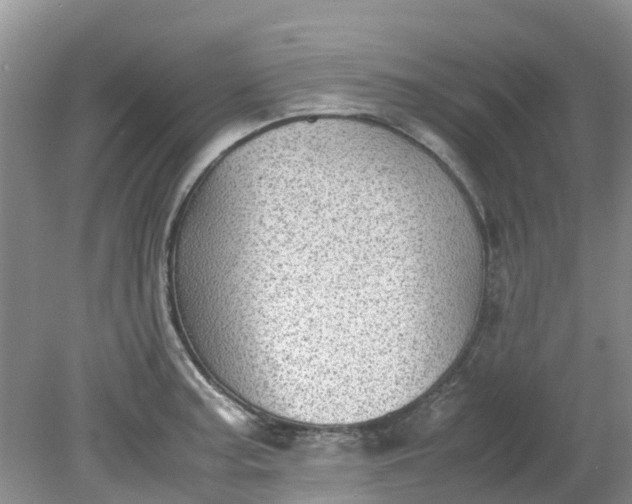 X0000079341187200612011926