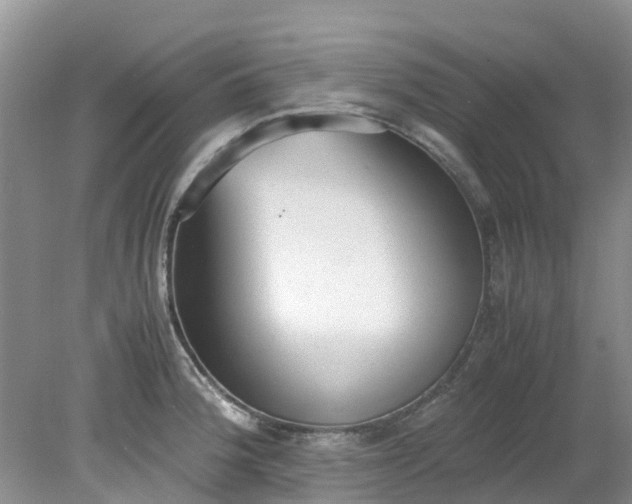 X0000079341188200612011926