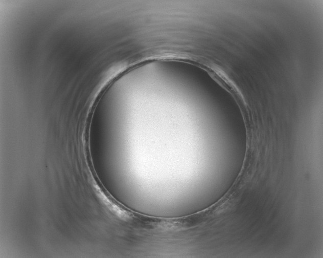 X0000079341189200612011926