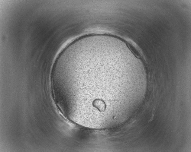 X0000079341191200612011926