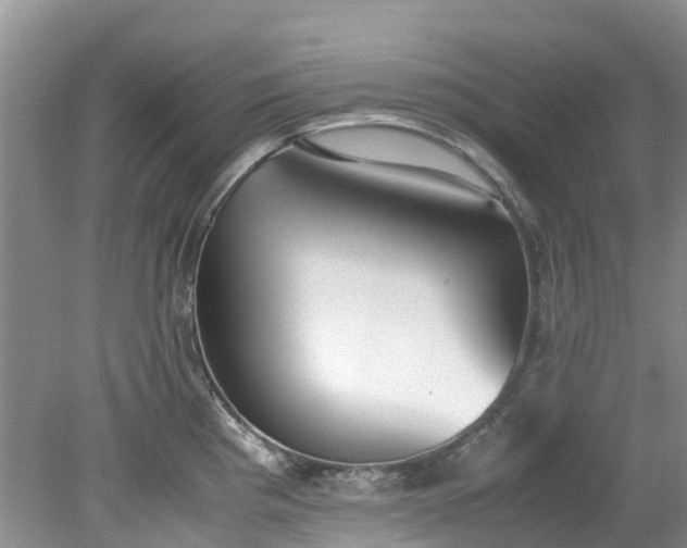 X0000079341193200612011926