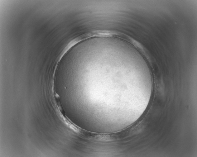 X0000079341194200612011926