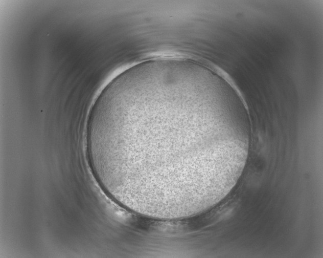 X0000079341195200612011926