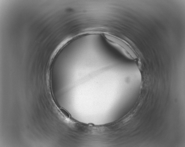 X0000079341196200612011926