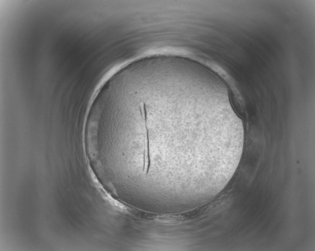 X0000079341199200612011926