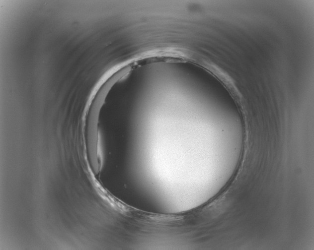 X0000079341200200612011926