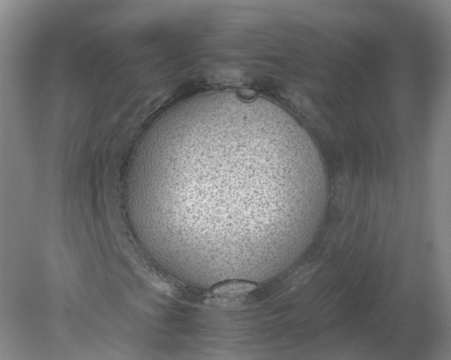 X0000079341201200612011925