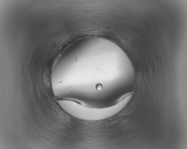 X0000079341202200612011925