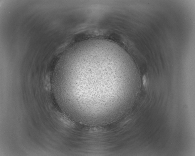 X0000079341203200612011925