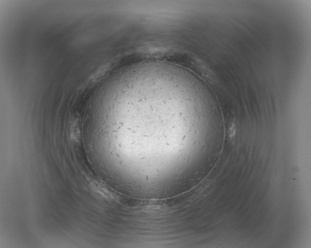 X0000079341204200612011925