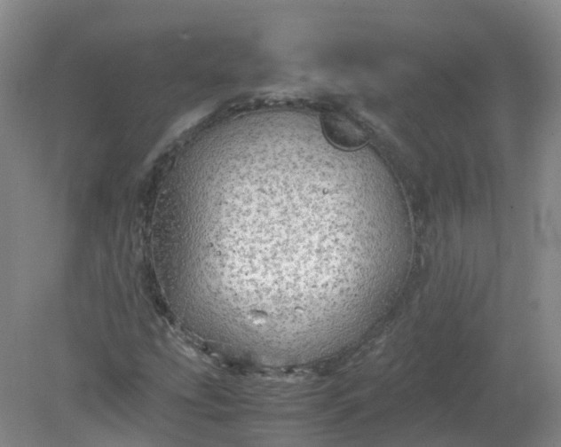 X0000079341207200612011925