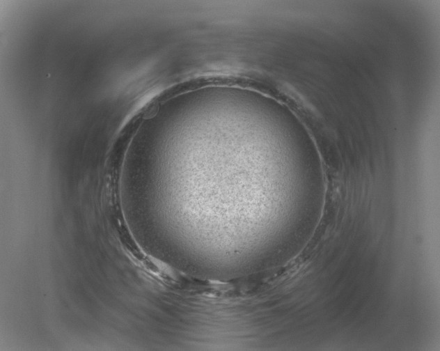 X0000079341208200612011925